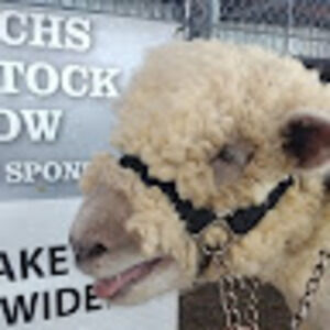 Meet your Posher, Keely